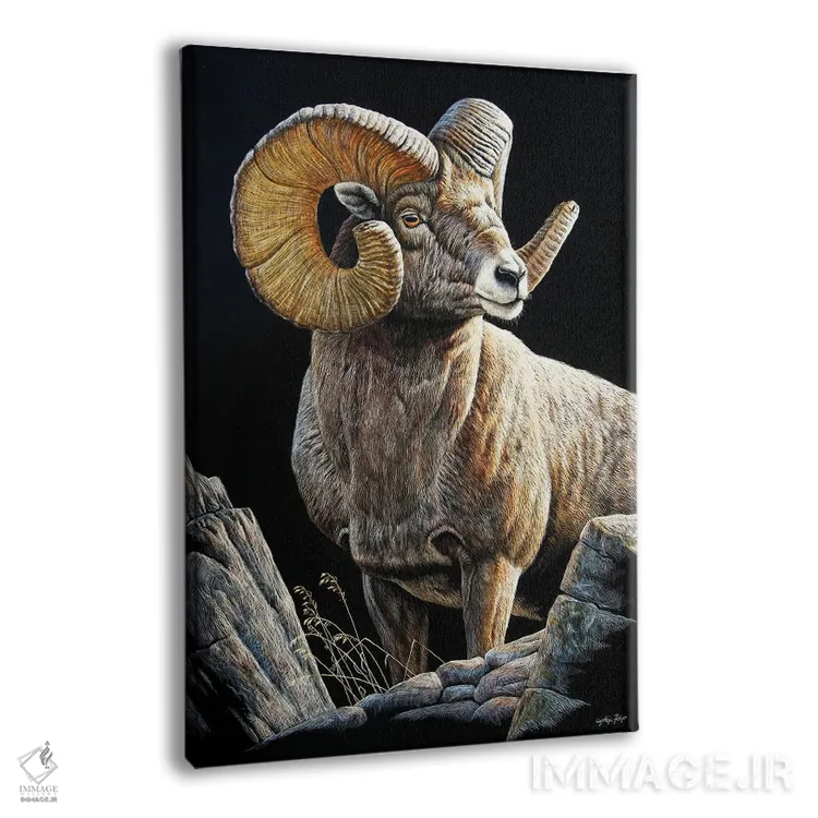 تابلو دکوراتیو بای هورن سب اثر سنتی فیشر - نمای پرسپکتیو محصول