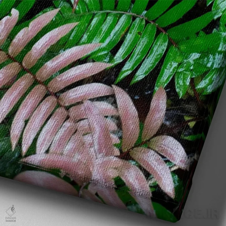 تابلو دکوراتیو Barro Colorado Island, Panama,برگ های سرخس مرطوب در جنگل بار… اثر سیریل روسو - نمای نزدیک بافت بوم