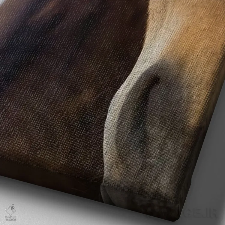 تابلو دکوراتیو Namib-Naukluft National Park, Namibia,اسب صحرای نامیب، پارک… اثر سیریل روسو - نمای نزدیک بافت بوم