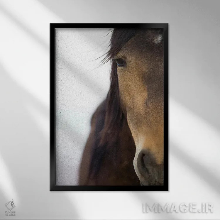 تابلو دکوراتیو Namib-Naukluft National Park, Namibia,اسب صحرای نامیب، پارک… اثر سیریل روسو - نمای قابدار مشکی