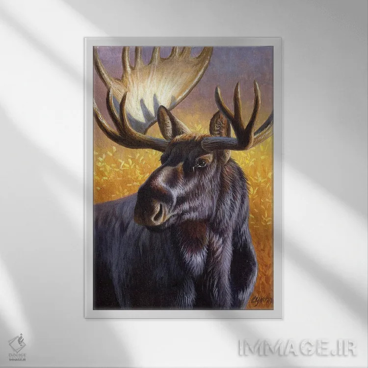 تابلو دکوراتیو پرتره گوزن شمالی اثر سنتی فیشر - نمای قابدار سفید