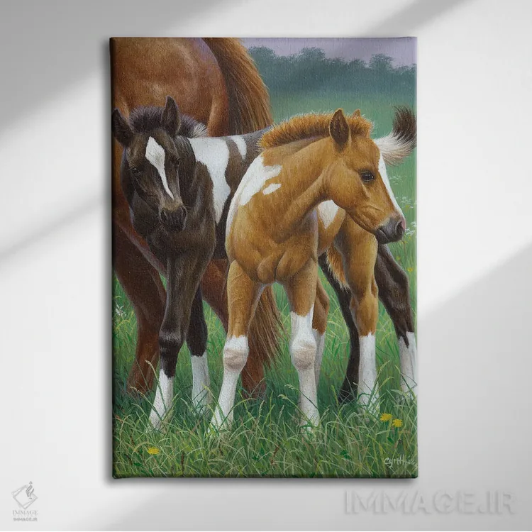 تابلو دکوراتیو دو کره اسب اثر سنتی فیشر - نمای روبهرو روی دیوار