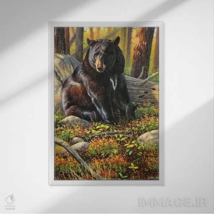 تابلو دکوراتیو خرس سیاه اثر سنتی فیشر - نمای قابدار سفید