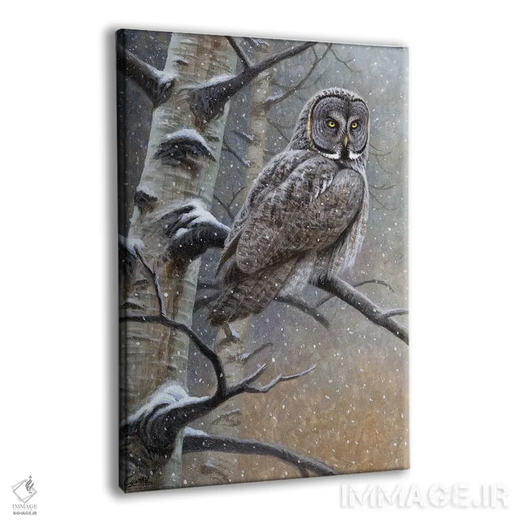 تابلو دکوراتیو جغد خاکستری بزرگ اثر سنتی فیشر - نمای پرسپکتیو محصول