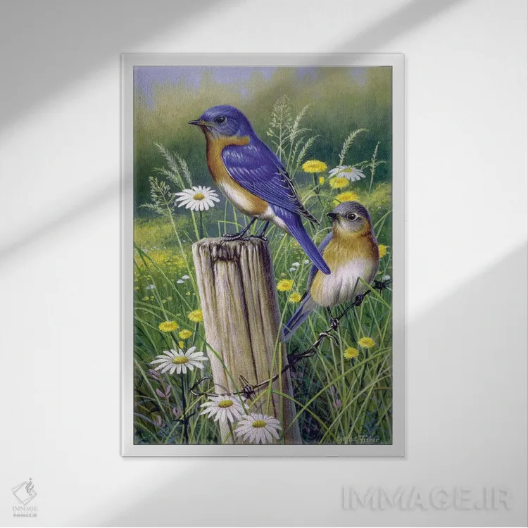 تابلو دکوراتیو بلوبردها اثر سنتی فیشر - نمای قابدار سفید