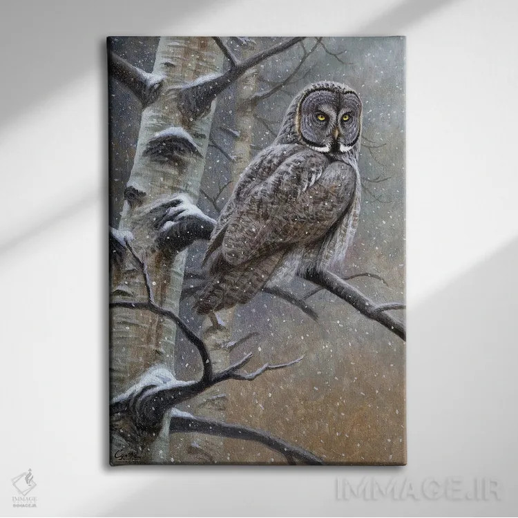 تابلو دکوراتیو جغد خاکستری بزرگ اثر سنتی فیشر - نمای روبهرو روی دیوار