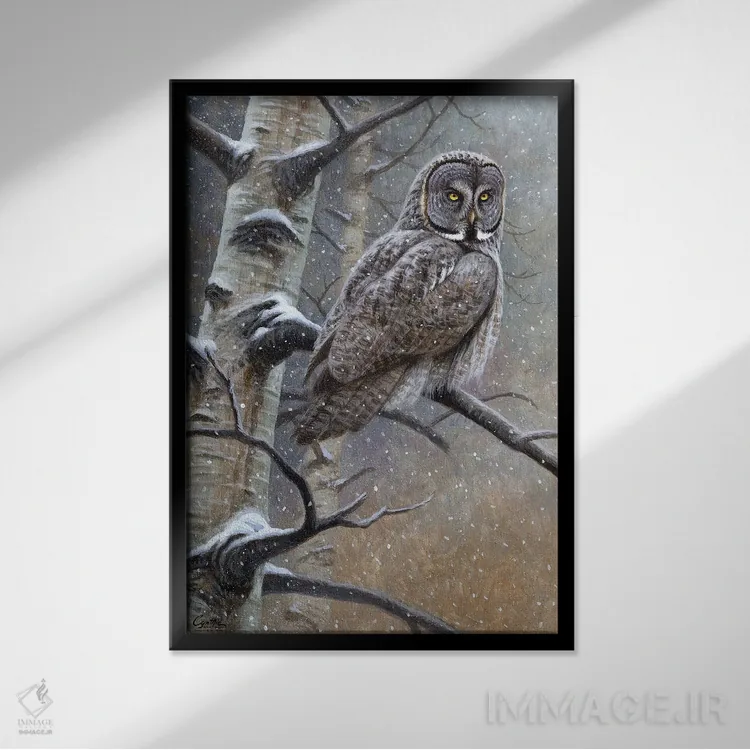 تابلو دکوراتیو جغد خاکستری بزرگ اثر سنتی فیشر - نمای قابدار مشکی