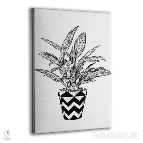 تابلو دکوراتیو گیاه آگلونما اثر نیک کوکوزا - نمای پرسپکتیو محصول