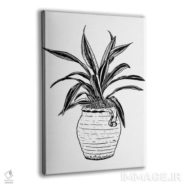 تابلو دکوراتیو گیاه دراسنا اثر نیک کوکوزا - نمای پرسپکتیو محصول