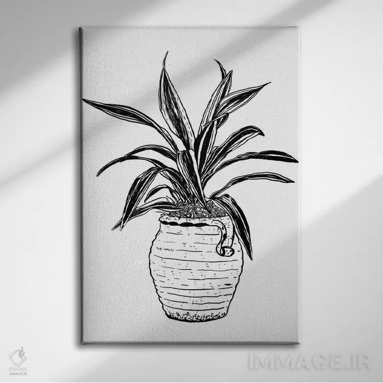 تابلو دکوراتیو گیاه دراسنا اثر نیک کوکوزا - نمای روبهرو روی دیوار