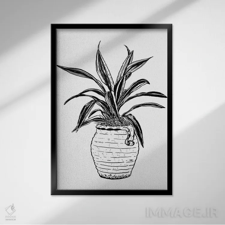 تابلو دکوراتیو گیاه دراسنا اثر نیک کوکوزا - نمای قابدار مشکی