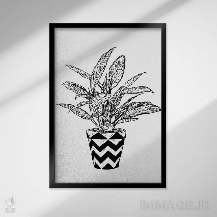 تابلو دکوراتیو گیاه آگلونما اثر نیک کوکوزا - نمای قابدار مشکی