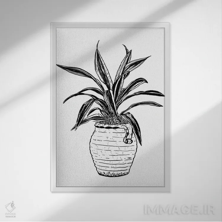 تابلو دکوراتیو گیاه دراسنا اثر نیک کوکوزا - نمای قابدار سفید