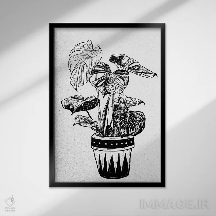 تابلو دکوراتیو گیاه مونسترا اثر نیک کوکوزا - نمای قابدار مشکی