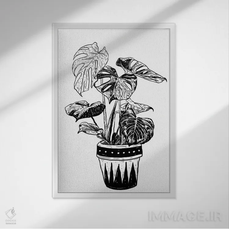 تابلو دکوراتیو گیاه مونسترا اثر نیک کوکوزا - نمای قابدار سفید