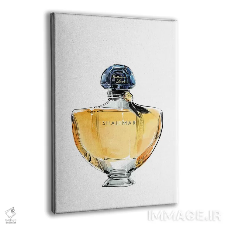 تابلو دکوراتیو شالیمار اثر امبر دی - نمای پرسپکتیو محصول