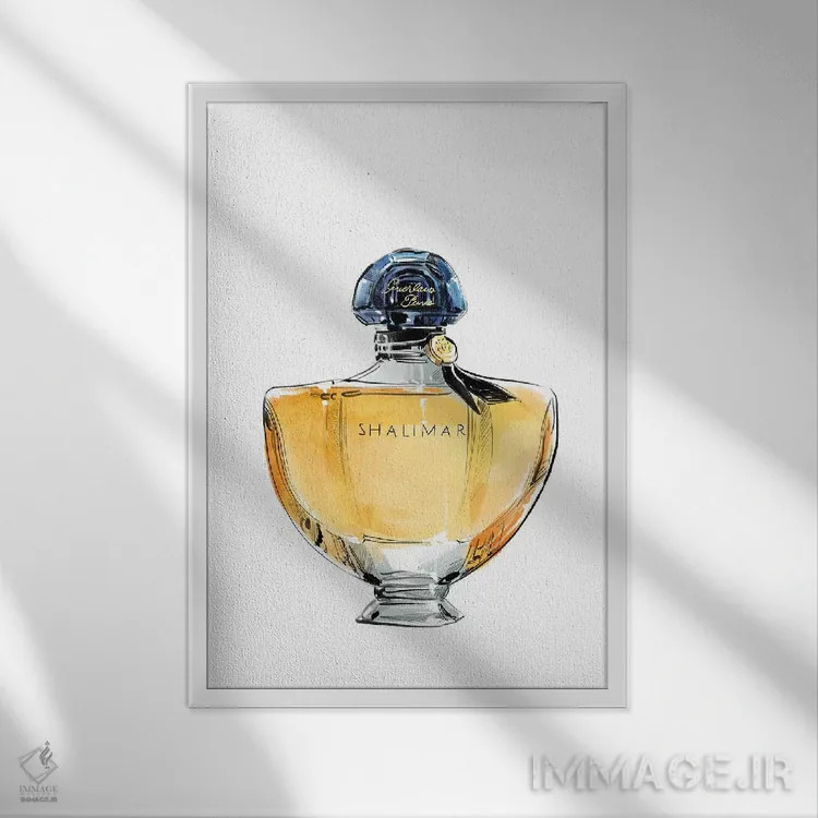 تابلو دکوراتیو شالیمار اثر امبر دی - نمای قابدار سفید