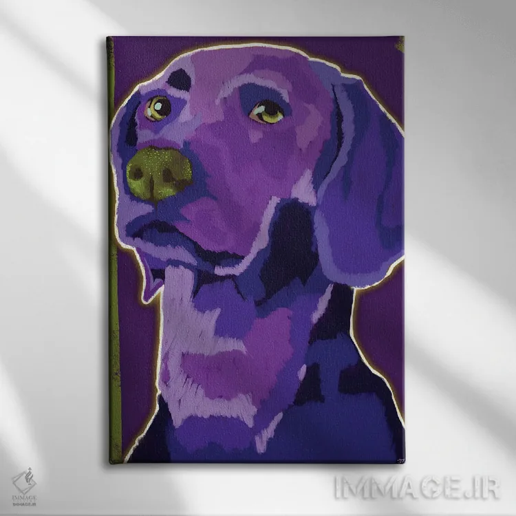 تابلو دکوراتیو پسر وایمارانر اثر دائو زد - نمای روبهرو روی دیوار