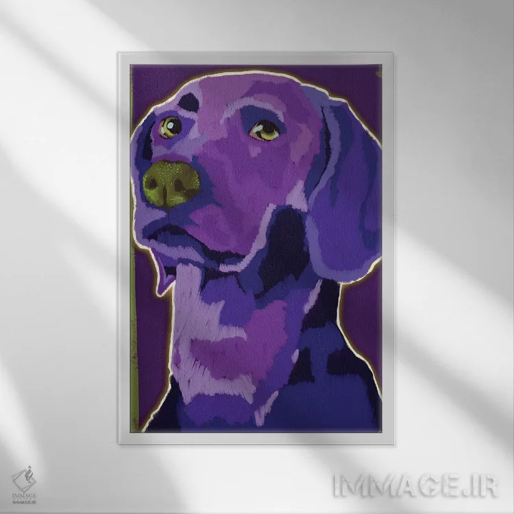 تابلو دکوراتیو پسر وایمارانر اثر دائو زد - نمای قابدار سفید