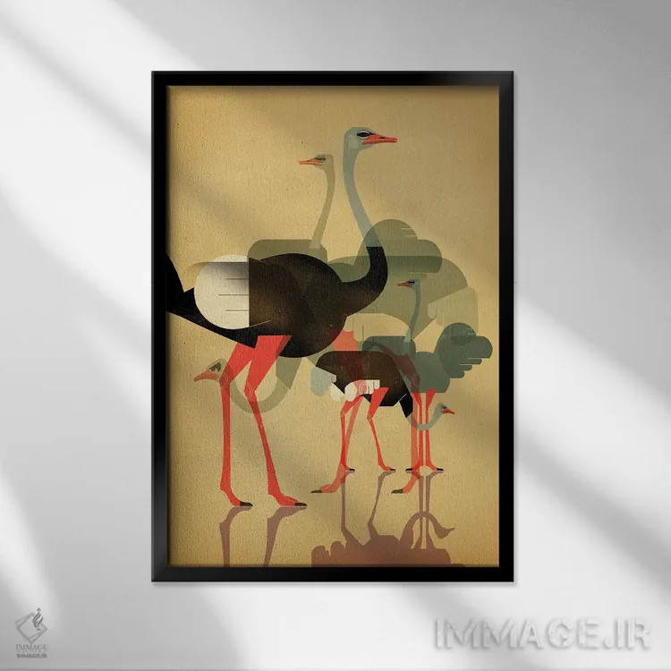 تابلو دکوراتیو شترمرغ ها اثر دیتر براون - نمای قابدار مشکی