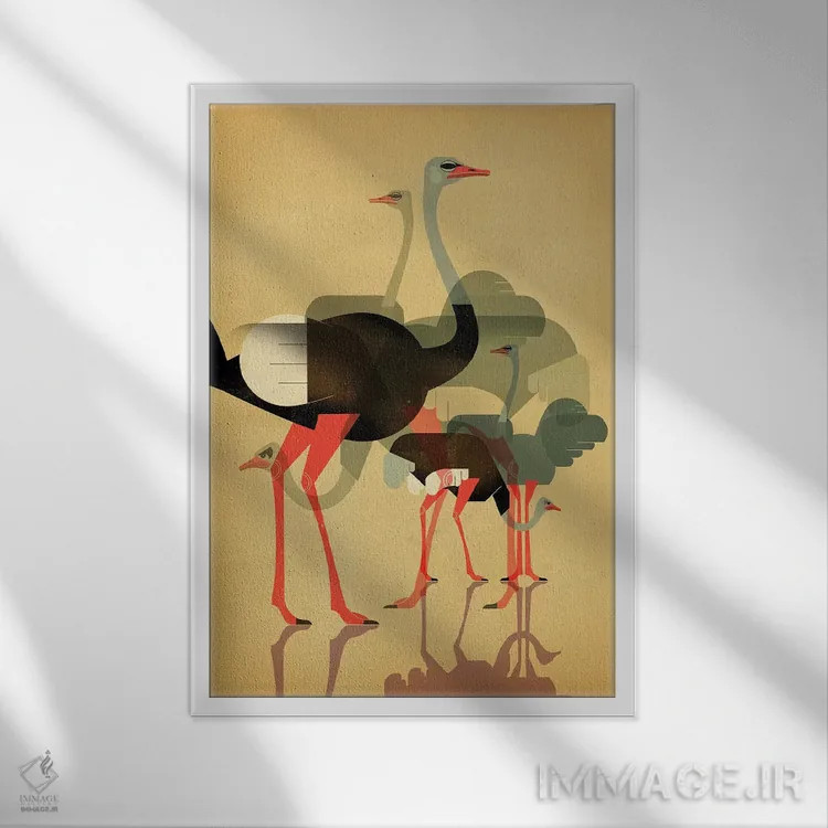 تابلو دکوراتیو شترمرغ ها اثر دیتر براون - نمای قابدار سفید