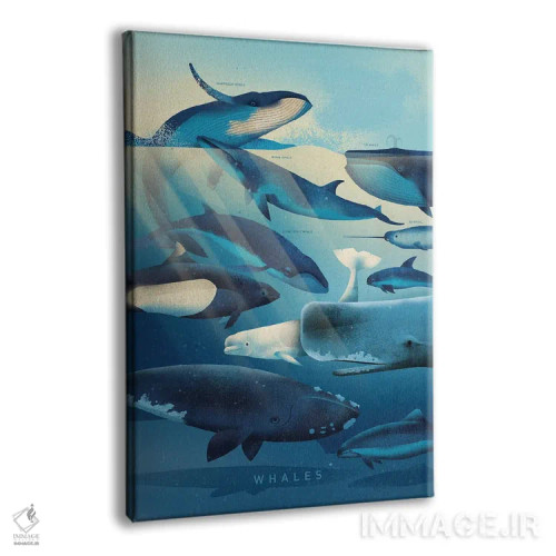 تابلو دکوراتیو نهنگ ها اثر دیتر براون - نمای پرسپکتیو محصول