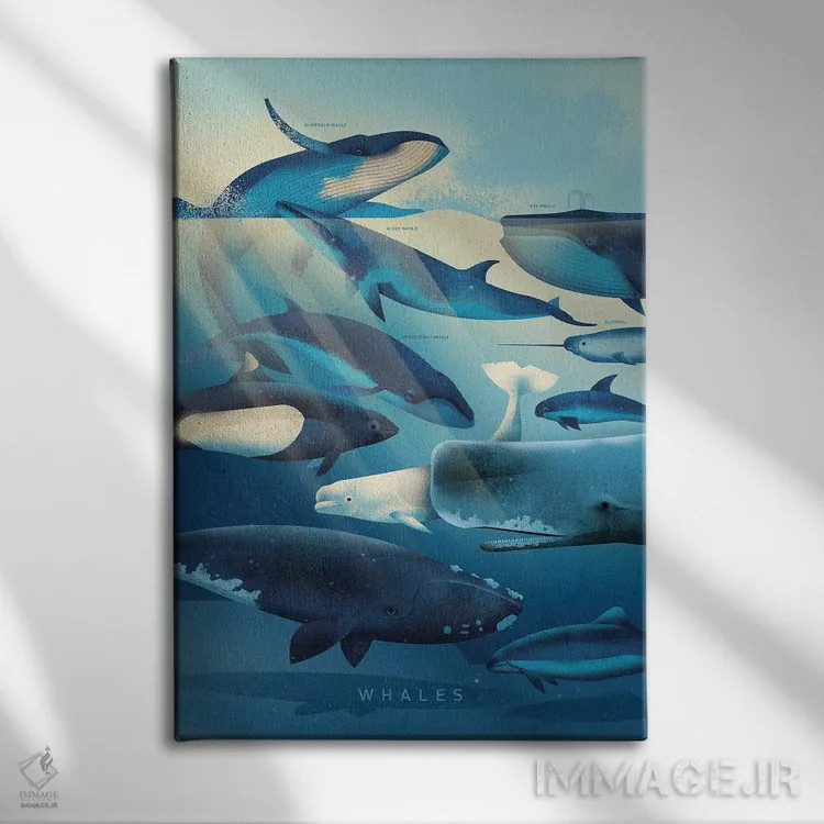 تابلو دکوراتیو نهنگ ها اثر دیتر براون - نمای روبهرو روی دیوار