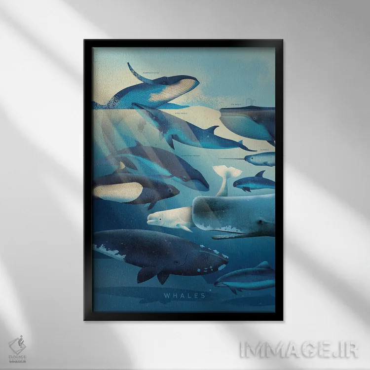 تابلو دکوراتیو نهنگ ها اثر دیتر براون - نمای قابدار مشکی