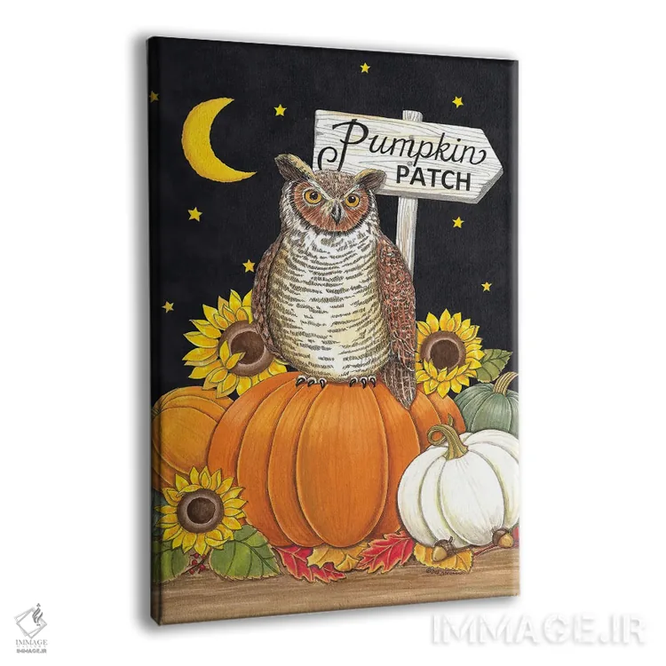 تابلو دکوراتیو جغد در مزرعه کدوحلوایی اثر دب استرین - نمای پرسپکتیو محصول