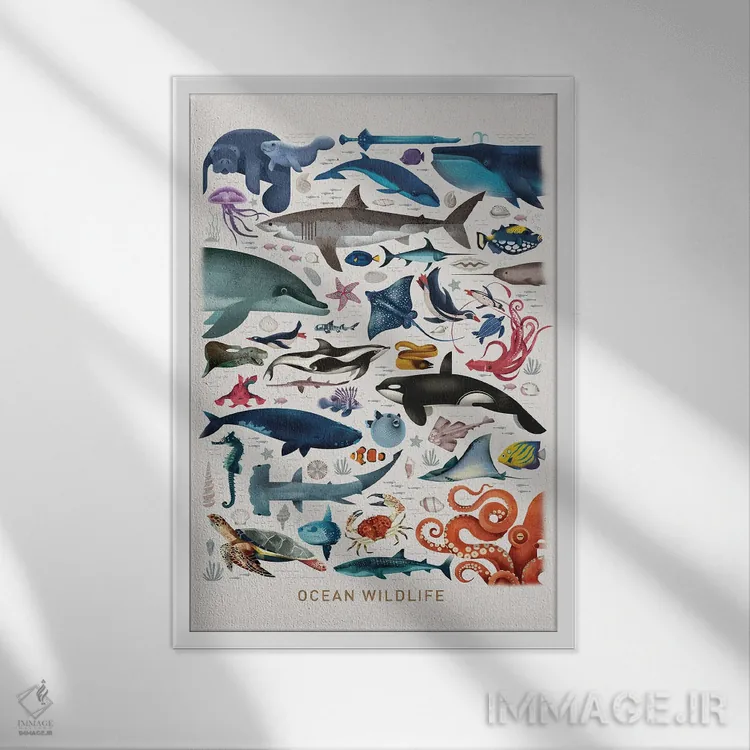 تابلو دکوراتیو حیات وحش اقیانوس اثر دیتر براون - نمای قابدار سفید