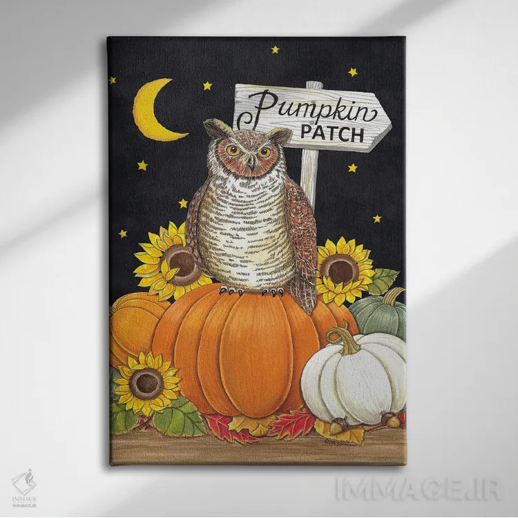 تابلو دکوراتیو جغد در مزرعه کدوحلوایی اثر دب استرین - نمای روبهرو روی دیوار