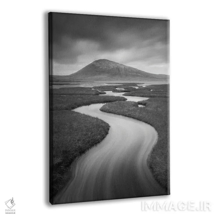 تابلو دکوراتیو پیچ هریس ۱ اثر دیوید کلاپ - نمای پرسپکتیو محصول