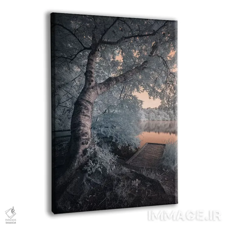 تابلو دکوراتیو Newton Abbot Decoy II,دوون، نیوتون ابوت دکوی ۲ اثر دیوید کلاپ - نمای پرسپکتیو محصول