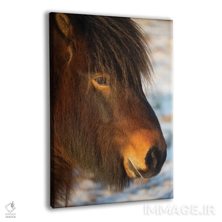 تابلو دکوراتیو اسب های ایسلند ۱ اثر دیوید کلاپ - نمای پرسپکتیو محصول