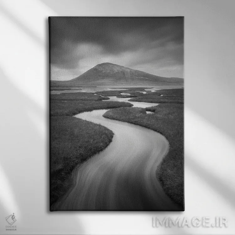 تابلو دکوراتیو پیچ هریس ۱ اثر دیوید کلاپ - نمای روبهرو روی دیوار