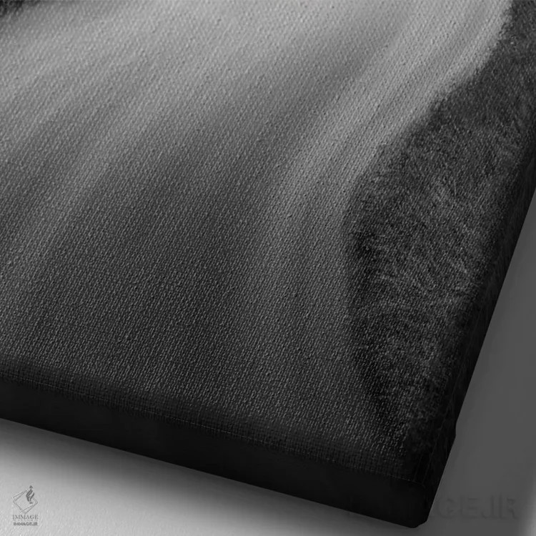 تابلو دکوراتیو پیچ هریس ۱ اثر دیوید کلاپ - نمای نزدیک بافت بوم