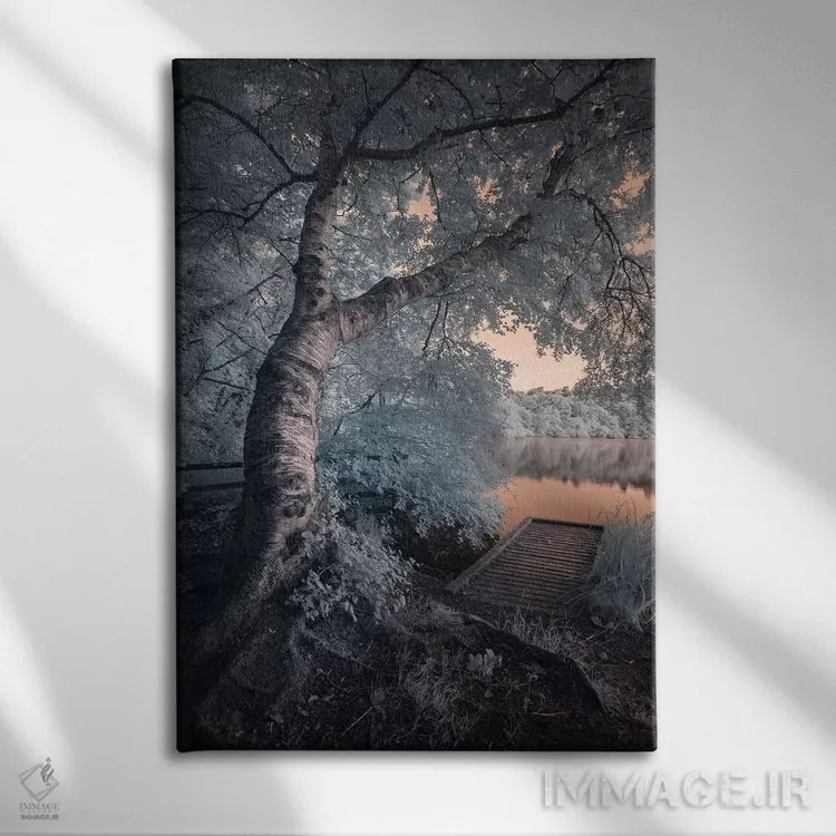 تابلو دکوراتیو Newton Abbot Decoy II,دوون، نیوتون ابوت دکوی ۲ اثر دیوید کلاپ - نمای روبهرو روی دیوار