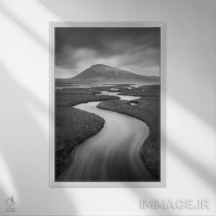 تابلو دکوراتیو پیچ هریس ۱ اثر دیوید کلاپ - نمای قابدار سفید