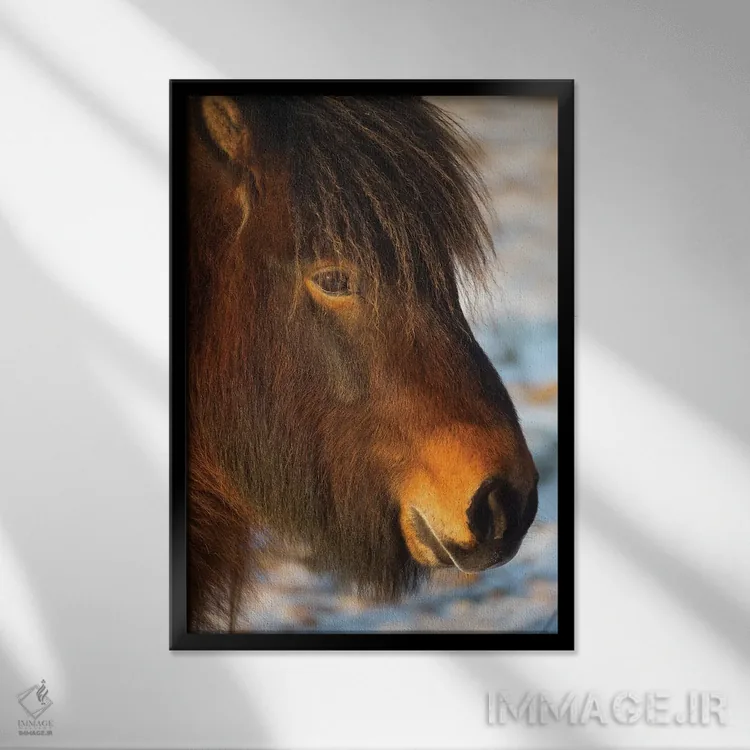 تابلو دکوراتیو اسب های ایسلند ۱ اثر دیوید کلاپ - نمای قابدار مشکی
