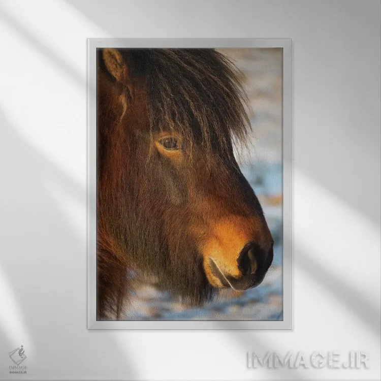 تابلو دکوراتیو اسب های ایسلند ۱ اثر دیوید کلاپ - نمای قابدار سفید