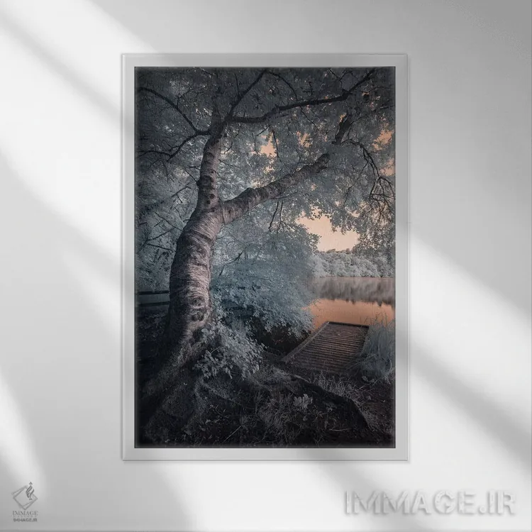 تابلو دکوراتیو Newton Abbot Decoy II,دوون، نیوتون ابوت دکوی ۲ اثر دیوید کلاپ - نمای قابدار سفید