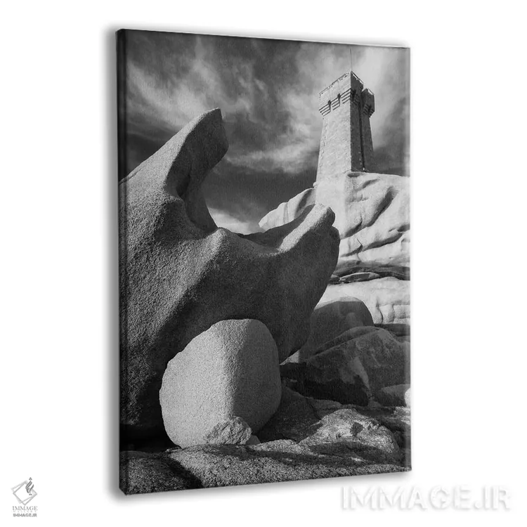 تابلو دکوراتیو برتانیا، پلومانک شماره سه اثر دیوید کلاپ - نمای پرسپکتیو محصول