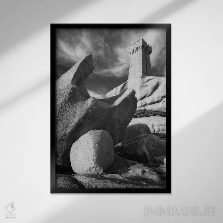 تابلو دکوراتیو برتانیا، پلومانک شماره سه اثر دیوید کلاپ - نمای قابدار مشکی