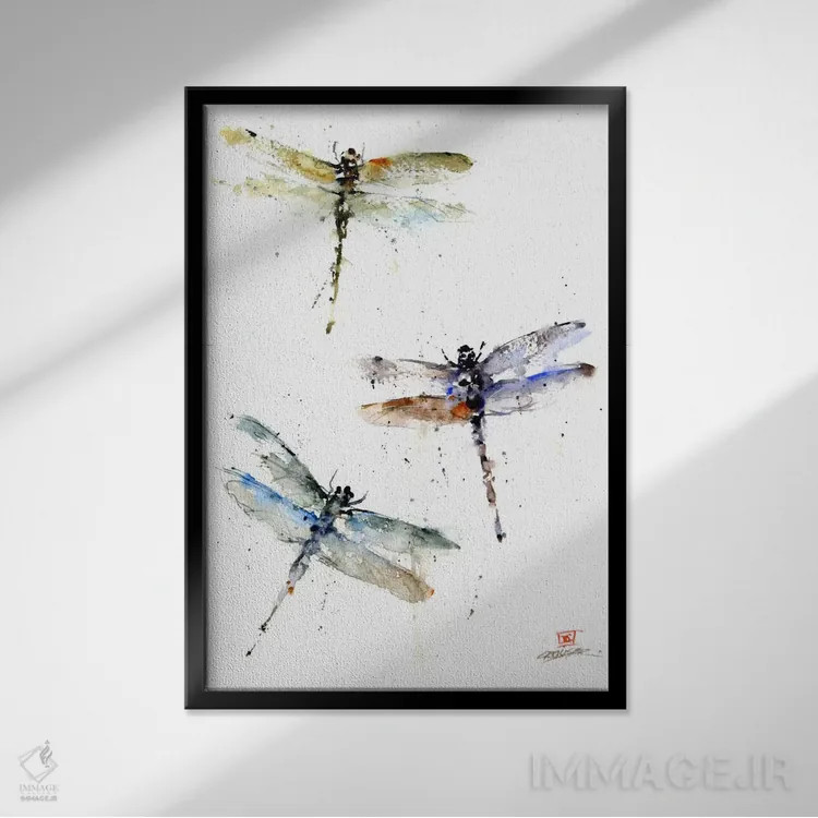 تابلو دکوراتیو سنجاقک ها اثر باور کراوزر - نمای قابدار مشکی