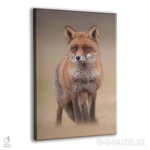 تابلو دکوراتیو روباه قرمز در مزرعه I اثر دیک ون دوین - نمای پرسپکتیو محصول