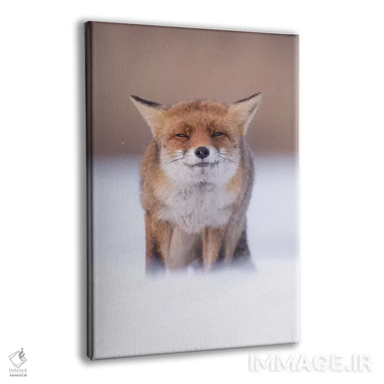 تابلو دکوراتیو بگو پنیر! اثر دیک ون دوین - نمای پرسپکتیو محصول