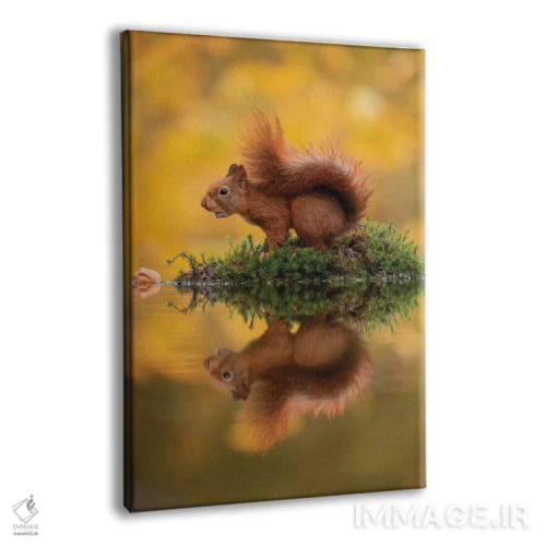 تابلو دکوراتیو سنجاب قرمز بر جزیره اثر دیک ون دوین - نمای پرسپکتیو محصول