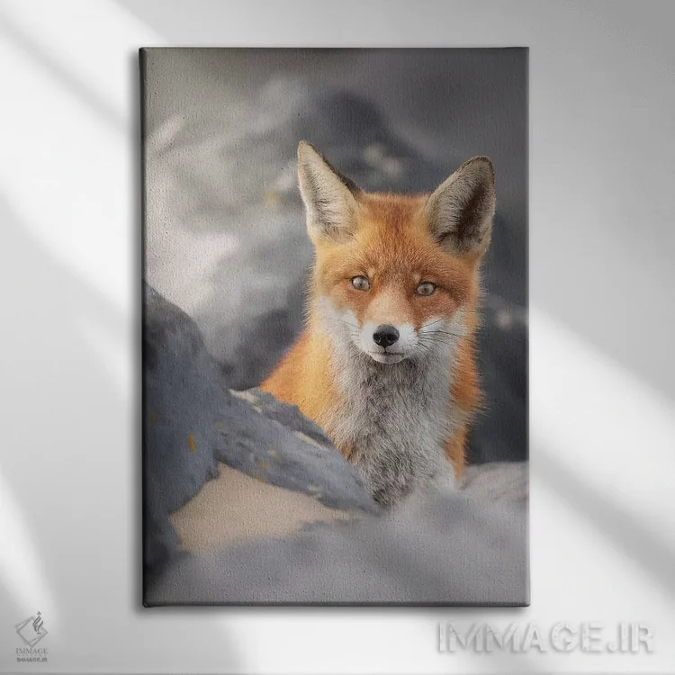 تابلو دکوراتیو روباه قرمز میان صخره ها اثر دیک ون دوین - نمای روبهرو روی دیوار