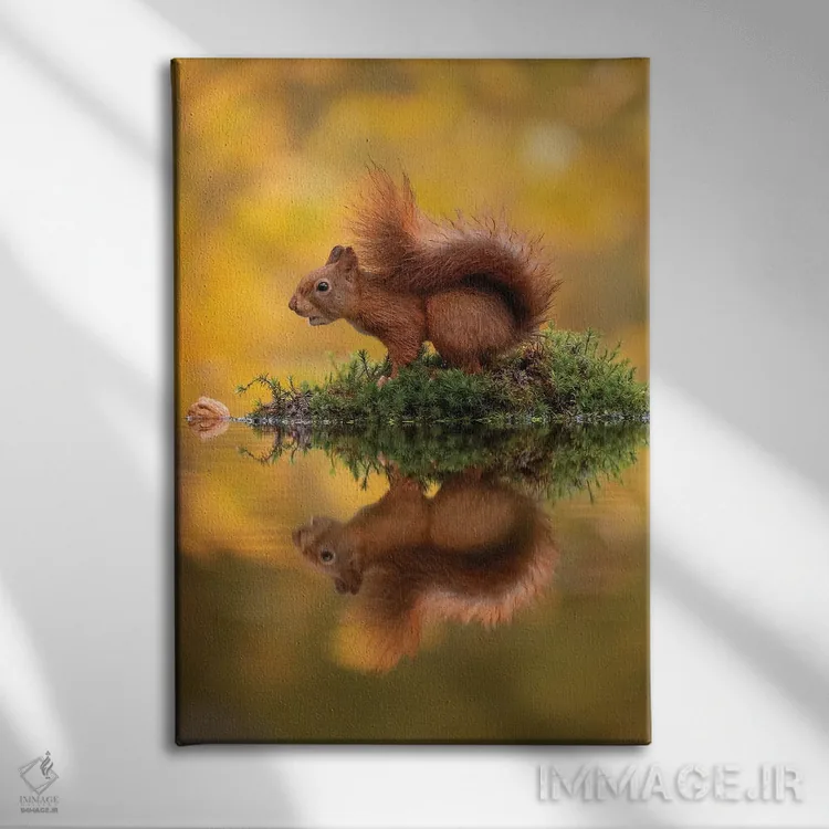 تابلو دکوراتیو سنجاب قرمز بر جزیره اثر دیک ون دوین - نمای روبهرو روی دیوار