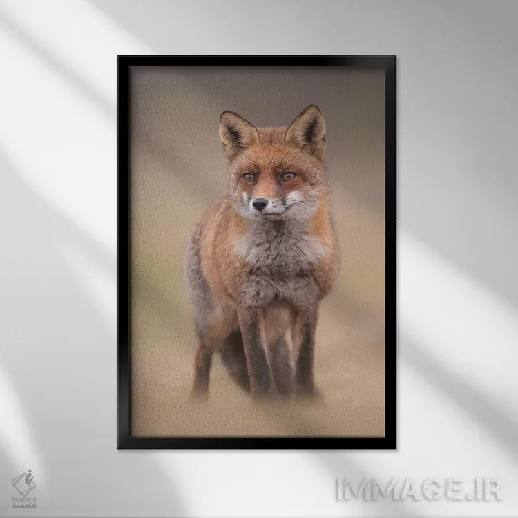 تابلو دکوراتیو روباه قرمز در مزرعه I اثر دیک ون دوین - نمای قابدار مشکی